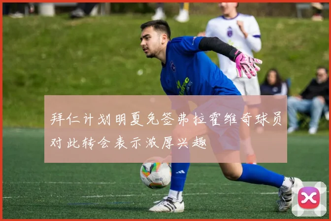 拜仁计划明夏免签弗拉霍维奇球员对此转会表示浓厚兴趣